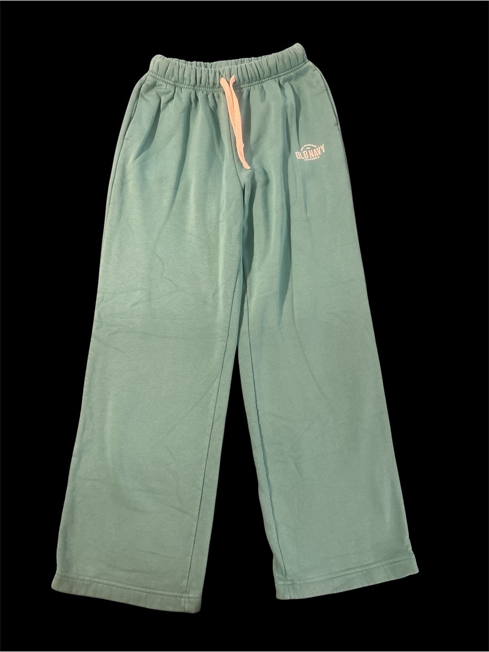 Old Navy Wide Leg Sweatpants in Teal